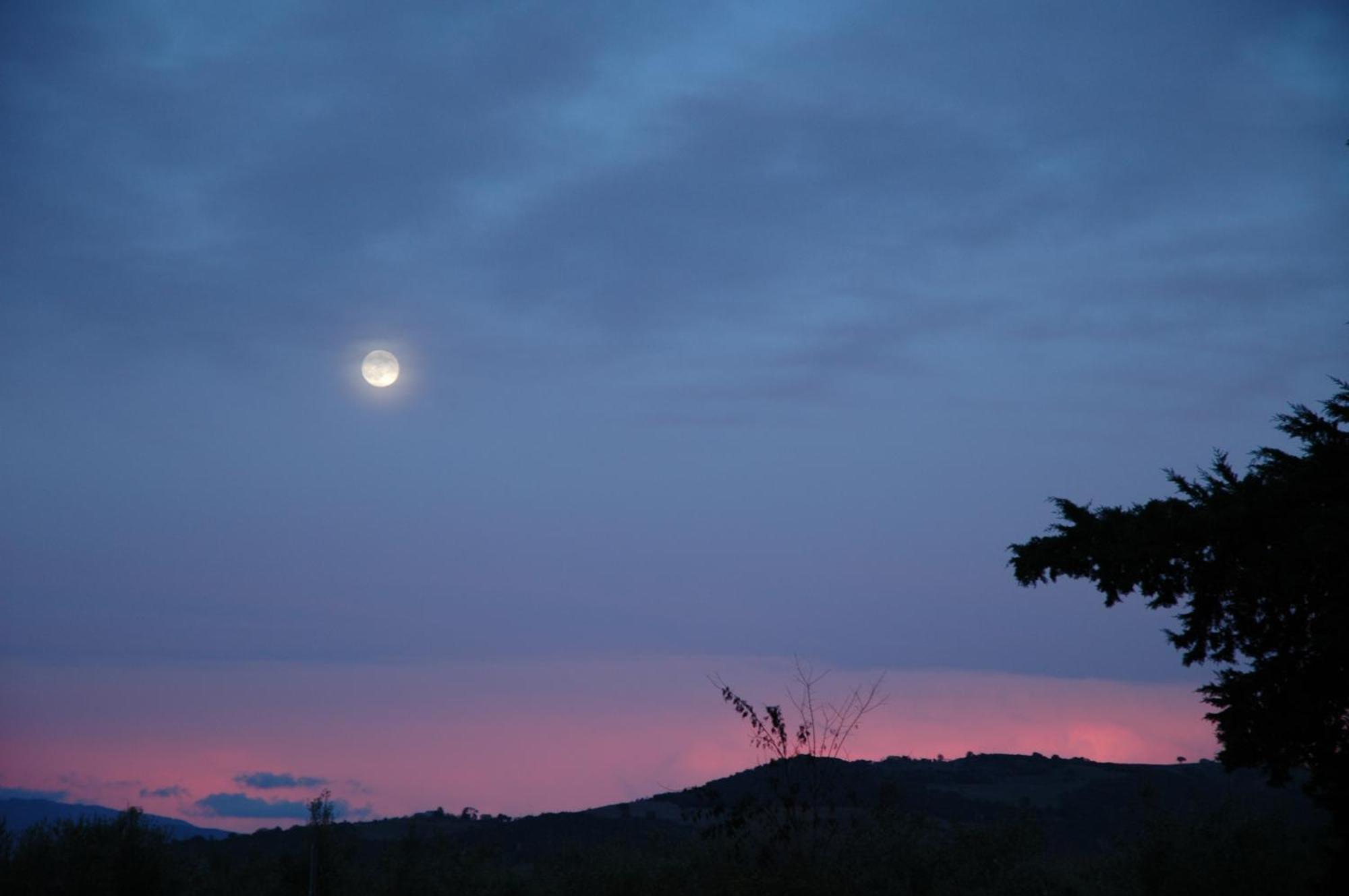 Agriturismo Le Piane Del Milia Suvereto Εξωτερικό φωτογραφία
