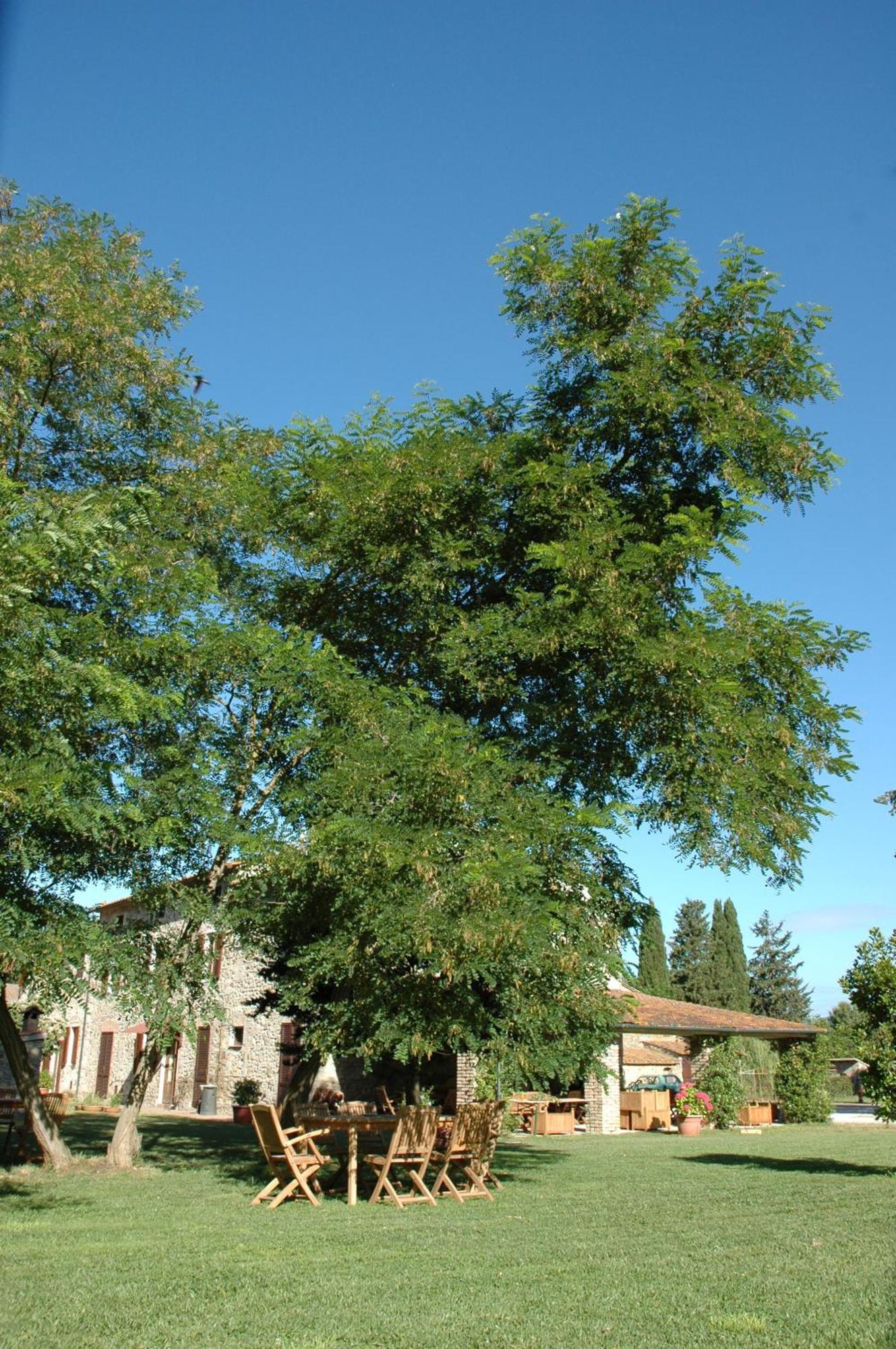 Agriturismo Le Piane Del Milia Suvereto Εξωτερικό φωτογραφία